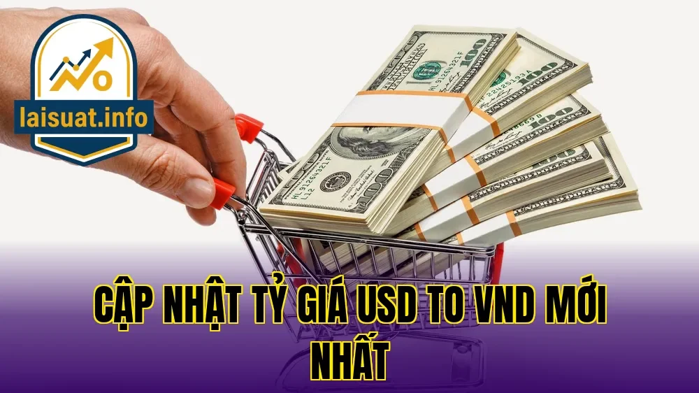 Cập nhật tỷ giá USD to VND mới nhất