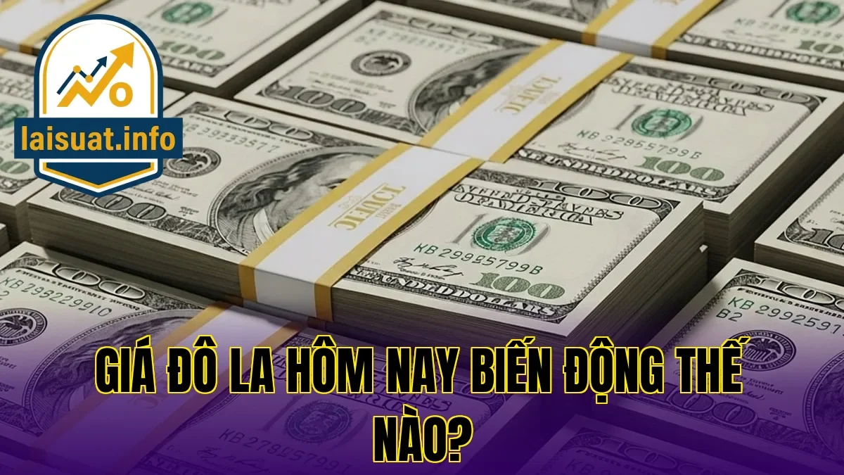 Giá đô la hôm nay biến động thế nào?