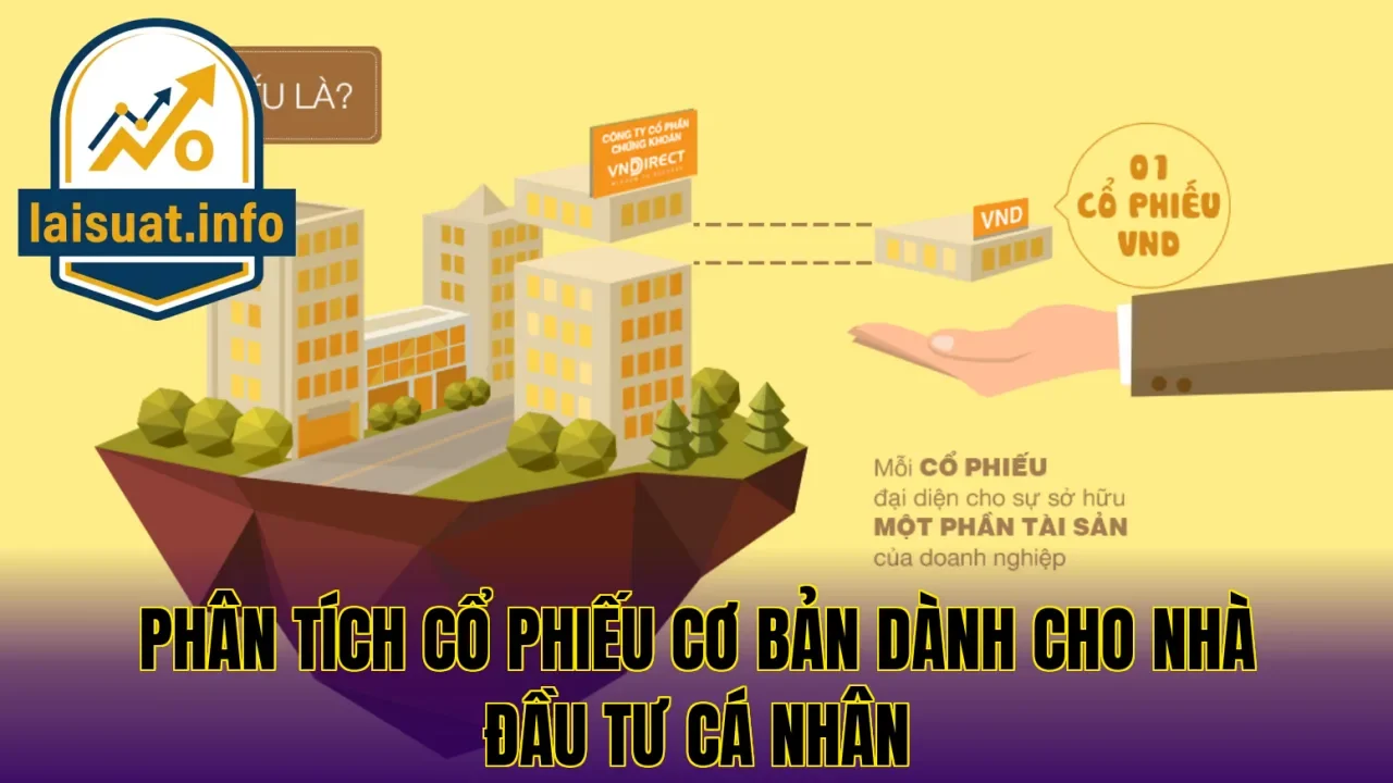 Phân tích cổ phiếu cơ bản dành cho nhà đầu tư cá nhân