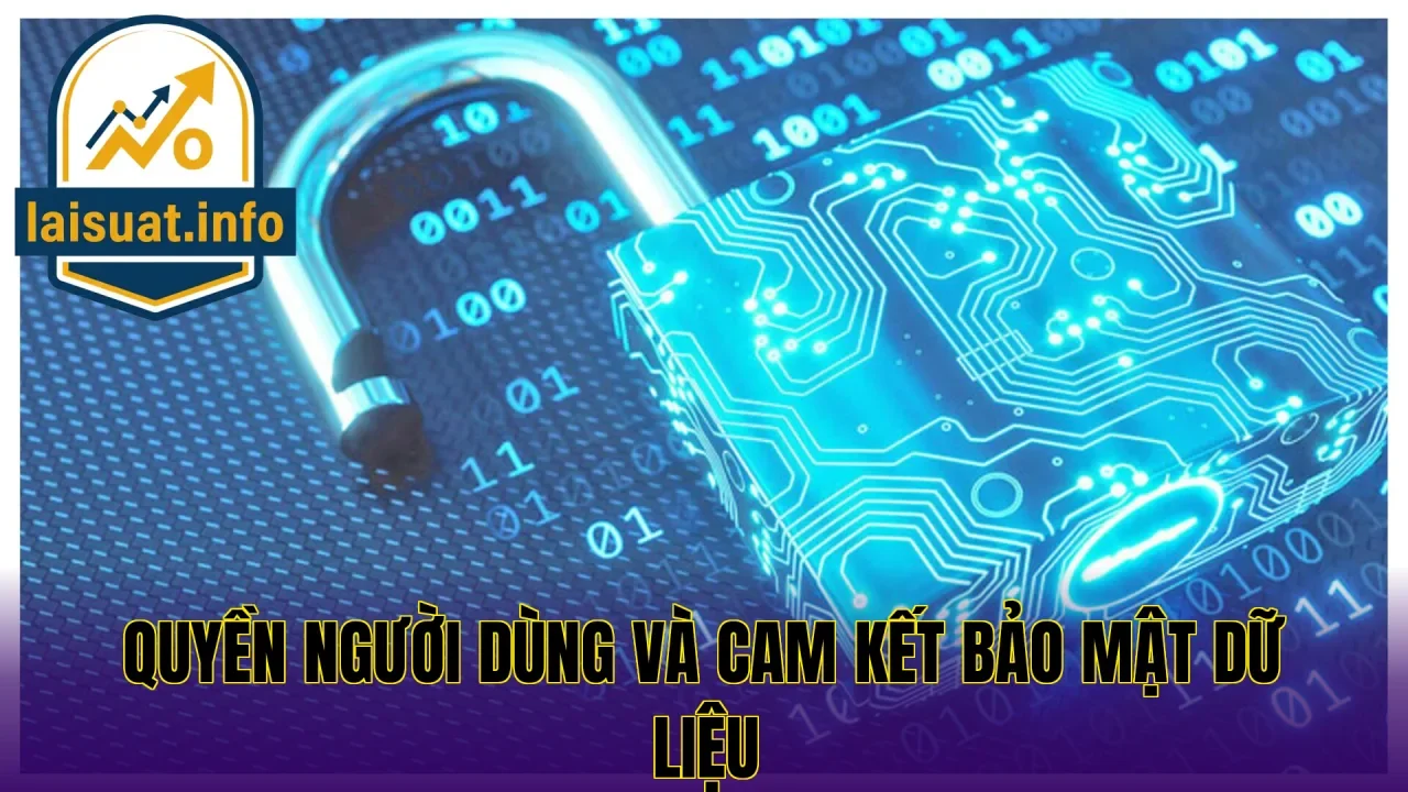 Quyền người dùng và cam kết bảo mật dữ liệu