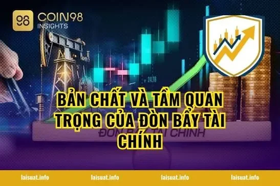 Bản Chất Và Tầm Quan Trọng Của Đòn Bẩy Tài Chính