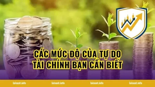 Các mức độ của tự do tài chính bạn cần biết