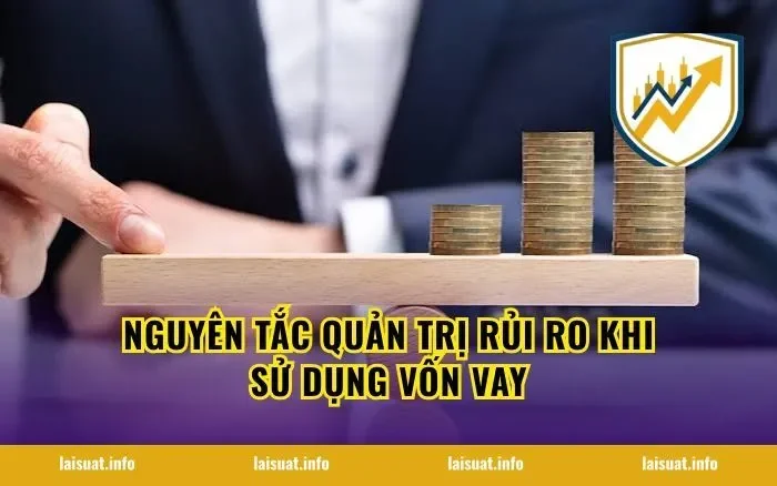 Nguyên Tắc Quản Trị Rủi Ro Khi Sử Dụng Vốn Vay